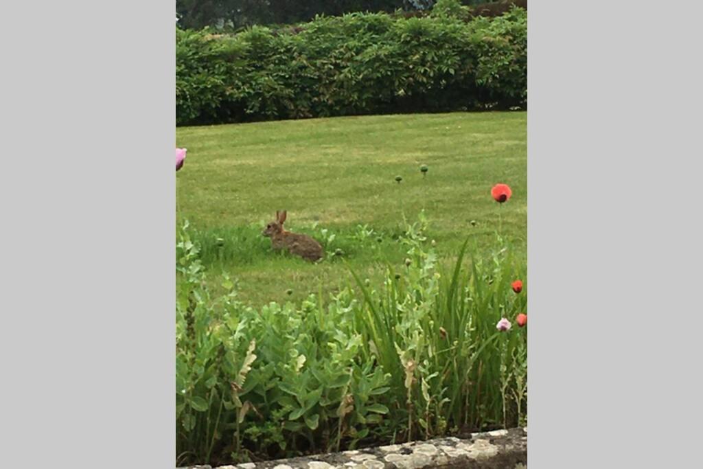 ווימבורן מינסטר Stay On The Grounds Of This Beautiful Manor House מראה חיצוני תמונה