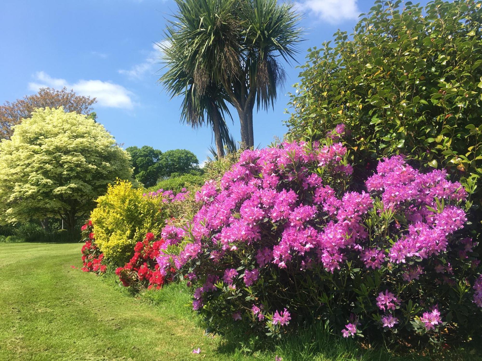 ווימבורן מינסטר Stay On The Grounds Of This Beautiful Manor House מראה חיצוני תמונה